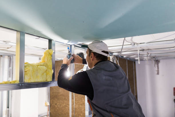 Best Basement Insulation  in Spring Arbor, MI