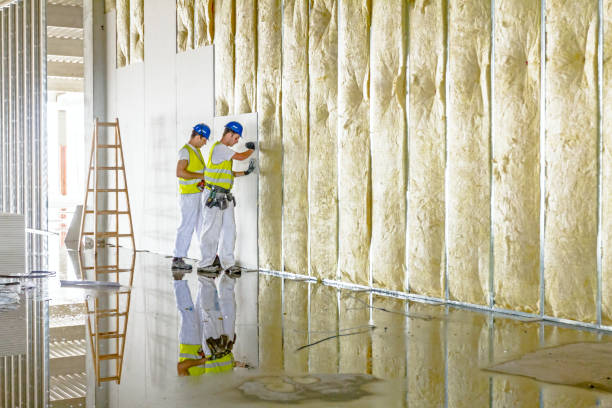 Best Insulation for New Construction  in Spring Arbor, MI